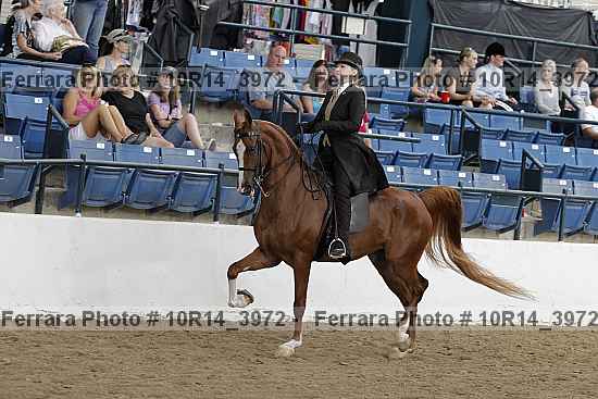 Proof 10r14_3972