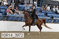 10r14_3972 proof