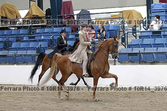 Proof 10r14_3976