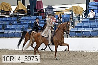 10r14_3976 proof