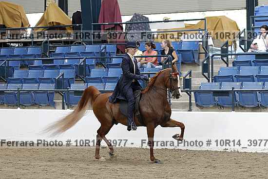 Proof 10r14_3977