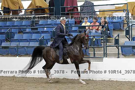 Proof 10r14_3978