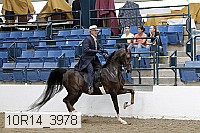10r14_3978 proof