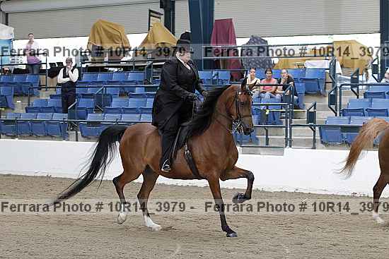 Proof 10r14_3979