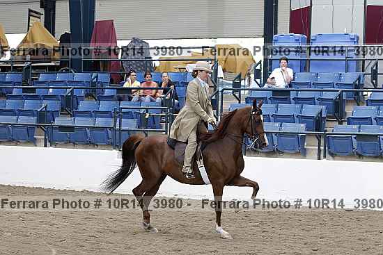 Proof 10r14_3980