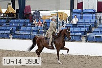 10r14_3980 proof