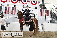 10r14_3983 proof