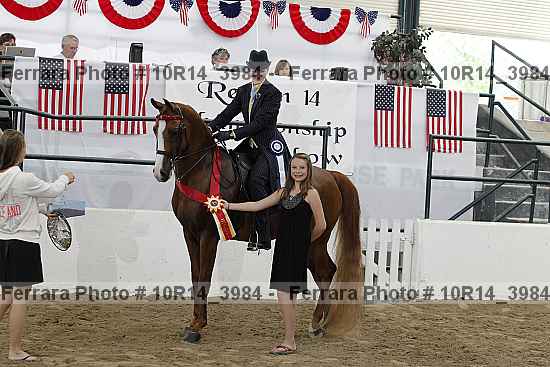 Proof 10r14_3984
