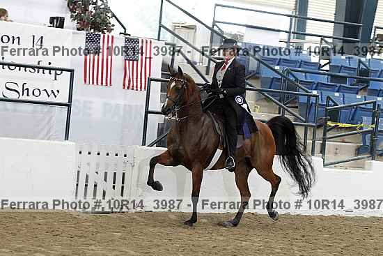 Proof 10r14_3987