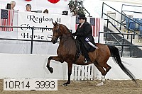 10r14_3993 proof