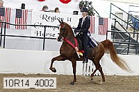 10r14_4002 proof