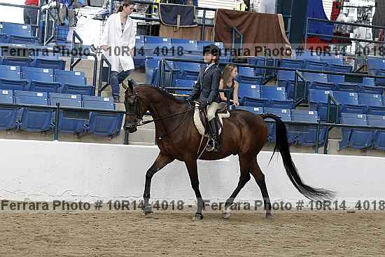 Proof 10r14_4018