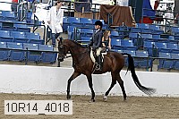 10r14_4018 proof