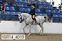 10r14_4019 proof