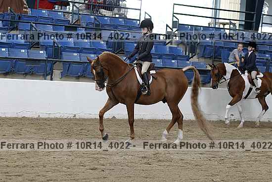 Proof 10r14_4022
