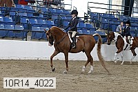 10r14_4022 proof