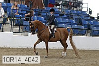 10r14_4042 proof