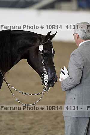 Proof 10r14_4131