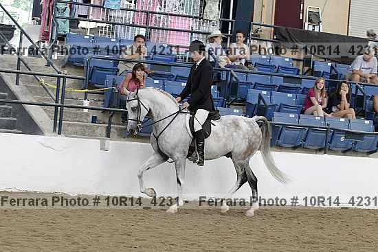 Proof 10r14_4231