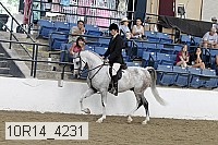 10r14_4231 proof