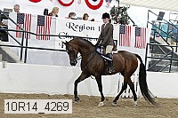 10r14_4269 proof