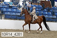 10r14_4281 proof