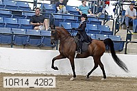 10r14_4282 proof