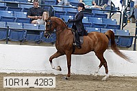 10r14_4283 proof