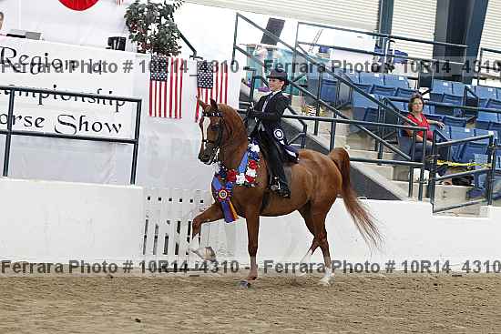 Proof 10r14_4310