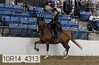 10r14_4313 proof