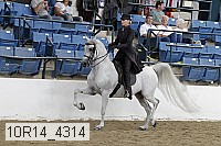 10r14_4314 proof