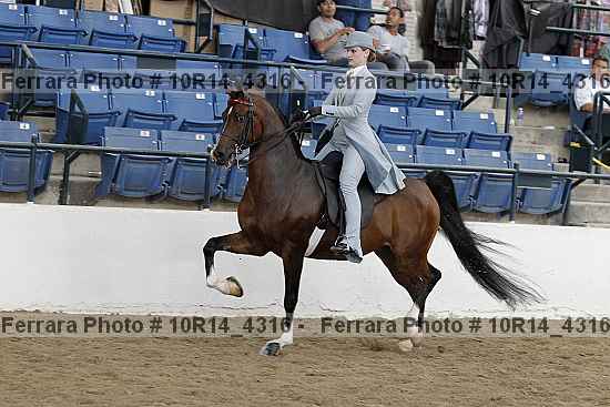 Proof 10r14_4316