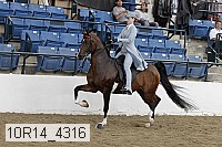 10r14_4316 proof
