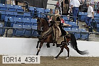 10r14_4361 proof