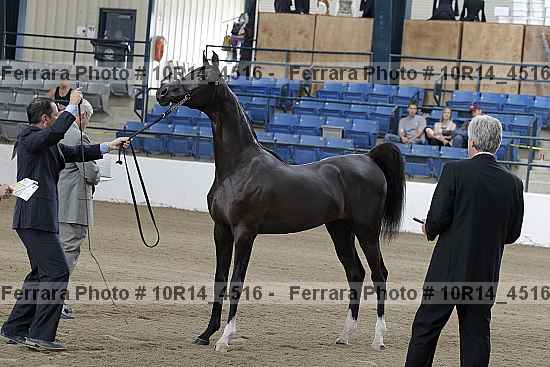 Proof 10r14_4516