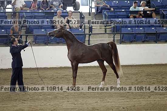 Proof 10r14_4528