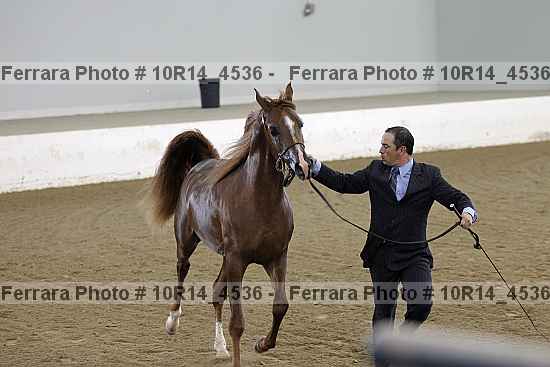 Proof 10r14_4536