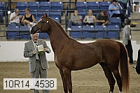 10r14_4538 proof