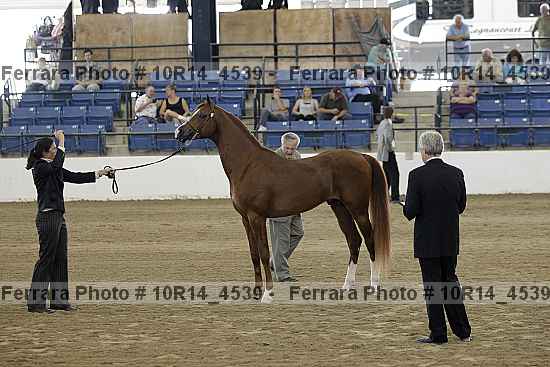 Proof 10r14_4539