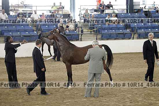 Proof 10r14_4546