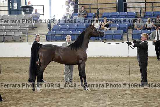 Proof 10r14_4548