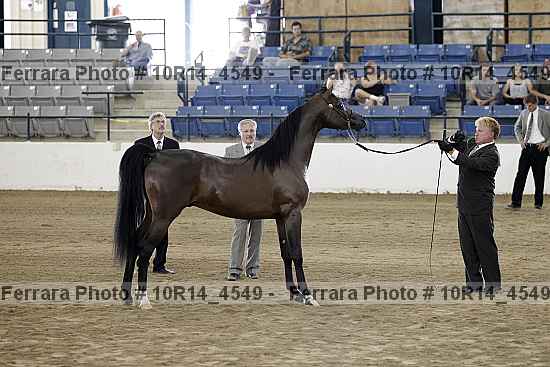 Proof 10r14_4549
