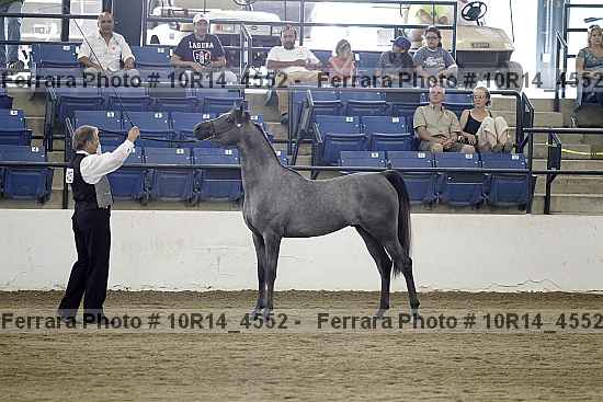Proof 10r14_4552