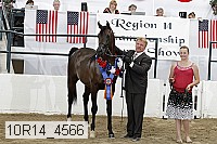 10r14_4566 proof