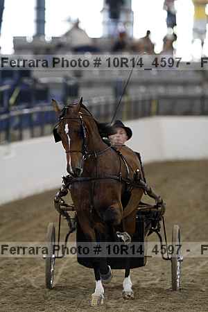 Proof 10r14_4597