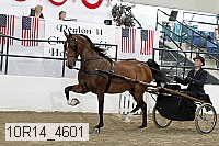 10r14_4601 proof