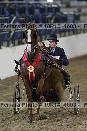 Proof 10r14_4603
