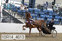 10r14_4613 proof