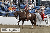 10r14_4672 proof