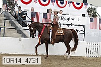 10r14_4731 proof